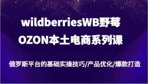 wildberriesWB野莓/OZON本土电商系列课,俄罗斯平台的基础实操技巧/产品优化/爆款打造-世康聊项目