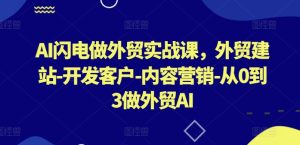 AI闪电做外贸实战课,外贸建站-开发客户-内容营销-从0到3做外贸AI(更新)-世康聊项目