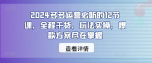 2024多多运营必听的12节课,全程干货,玩法实操,爆款方案尽在掌握-世康聊项目