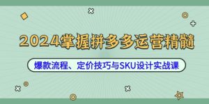 2024掌握拼多多运营精髓：爆款流程、定价技巧与SKU设计实战课-世康聊项目