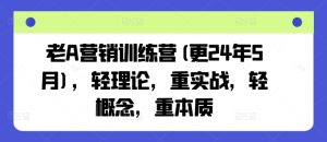老A营销训练营(更24年9月),轻理论,重实战,轻概念,重本质-世康聊项目
