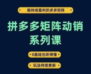 拼多多矩阵动销系列课,能持续盈利的多多矩阵,0基础也听得懂,玩法持续更新-世康聊项目