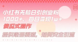 小红书无脑每日引流创业粉500+,小白每天只花半小时,躺赚长尾收益【揭秘】-世康聊项目