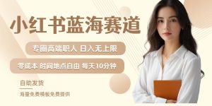小红书蓝海赛道，圈中高端职场人，月入无上限，可矩阵，内含私域实操教程!-世康聊项目