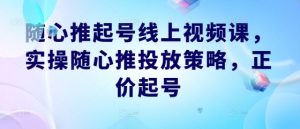 随心推起号线上视频课，实操随心推投放策略，正价起号-世康聊项目