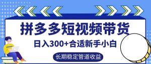 拼多多短视频带货日入300+,实操账户展示看就能学会-世康聊项目
