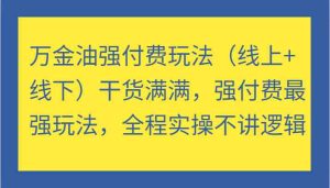 万金油强付费玩法(线上+线下)干货满满,强付费最强玩法,全程实操不讲逻辑-世康聊项目