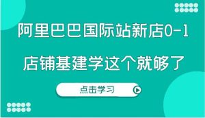 阿里巴巴国际站新店0-1，个人实践实操录制从0-1基建，店铺基建学这个就够了-世康聊项目