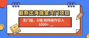 （13672期）最新出海掘金冷门项目，单号日入1000+-世康聊项目