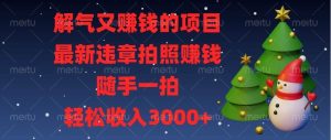 （13686期）解气又赚钱的项目，最新违章拍照赚钱，随手一拍，轻松收入3000+-世康聊项目