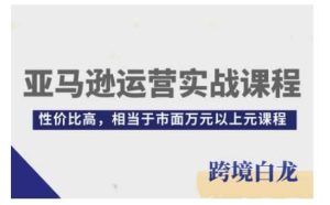 亚马逊运营实战课程，亚马逊从入门到精通，性价比高，相当于市面万元以上元课程-世康聊项目