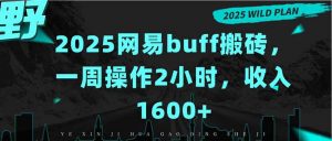 2025网易buff搬砖,一周操作2小时,收入1600+-世康聊项目
