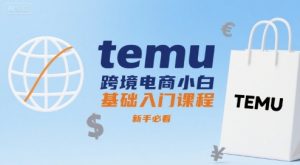 temu跨境电商小白基础入门课程，新手必看-世康聊项目