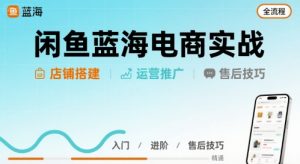 闲鱼蓝海电商实战,店铺搭建运营售后全流程-世康聊项目