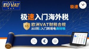 极速入门海外税，欧洲VAT财税合规，从0到1入门跨境电商财税-世康聊项目