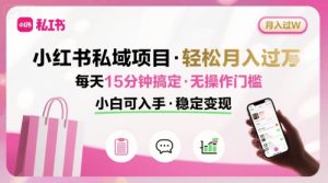 小红书私域项目 月入过W非常轻松 每天15分钟即可搞定,无任何操作门槛,小白可入手-世康聊项目