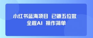 小红书蓝海项目，全程AI，操作简单，已挣五位数-世康聊项目