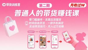 小红书带货第二期训练营,普通人月收过W的带货课,时间自由,零门槛无压货,一部手机即可操作-世康聊项目