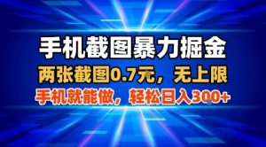 手机截图暴力掘金，两张截图0.7米，一部手机就能做，轻松日入3张+【揭秘】-世康聊项目