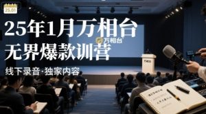 25年1月万相台无界爆款特训营线下录音-世康聊项目