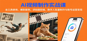 AI视频制作实战：含工具使用、爆款案例，讲拍摄剪辑、数字人批量制作与账号运营变现-世康聊项目