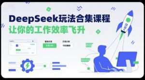 DeepSeek玩法合集课程，让你的工作效率飞升-世康聊项目