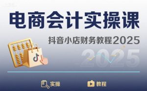 电商会计实操课-抖音小店财务教程2025-世康聊项目
