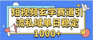 玄学赛道引流私域变现单日稳定1000+教程-世康聊项目