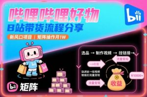 哔哩哔哩好物,B站带货流程分享,新风口项目,矩阵操作月1W-世康聊项目