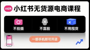 小红书无货源电商课程,不拍摄不露脸不用囤货,一部手机即可开店-世康聊项目