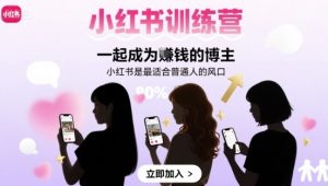 小红书训练营一起成为賺钱的博主，小红书是最适合普通人的风口-世康聊项目