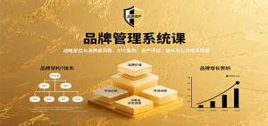 品牌管理系统课:战略定位与消费者洞察,DTC案例、资产评估,增长与公关体系搭建-世康聊项目