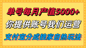 单月产值5000+，支付宝分成代运营，你提供账号坐等分钱，我们帮你运营-世康聊项目