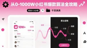 从0-1000W小红书爆款算法全攻略，时长1.5小时，干货满满-世康聊项目