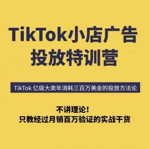 TikTok小店广告投放特训营,6天破局计划专治各种“投不动”,教你经过月销百万验证的实战干货-世康聊项目