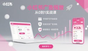 小红书广告投放从0到1的实战课，学完即可开始投放，拒绝无效广告消耗-世康聊项目