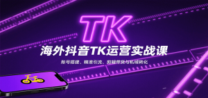 海外抖音TK运营实战课：账号搭建、精准引流、剪辑带货与私域转化-世康聊项目