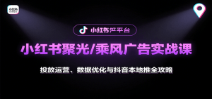 小红书聚光/乘风广告实战课：投放运营、数据优化与抖音本地推全攻略-世康聊项目