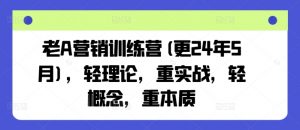老A营销训练营(更25年8月),轻理论,重实战,轻概念,重本质-世康聊项目