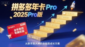 拼多多年卡2025Pro版，五大板块从认知到基础、从推广到活动、从活动到玩法-世康聊项目