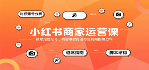 小红书商家运营课，账号定位起号、内容爆款打造与短视频拍摄剪辑-世康聊项目