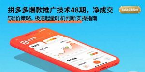 拼多多爆款推广技术48期，净成交与出价策略，极速起量时机判断实操指南-世康聊项目