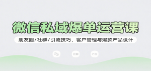 微信私域爆单运营课:朋友圈/社群/引流技巧,客户管理与爆款产品设计-世康聊项目
