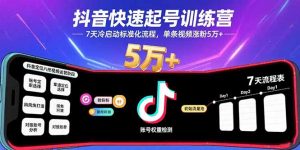 抖音快速起号训练营，7天冷启动标准化流程，单条视频涨粉5万+-世康聊项目