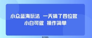 小众蓝海玩法 一天搞了四位数 小白可做 操作简单-世康聊项目