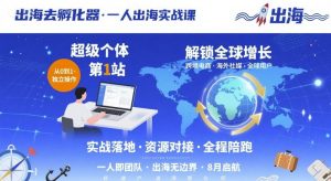 出海去孵化器，一人出海实战课，超级个体第1站，解锁全球增长-世康聊项目