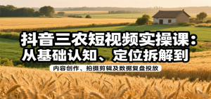 抖音三农短视频实操课：从基础认知、定位拆解到内容创作、拍摄剪辑及数据复盘投放-世康聊项目