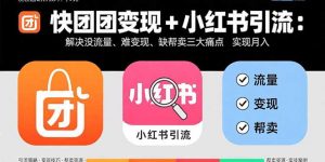 快团团变现+小红书引流：解决没流量、难变现、缺帮卖三大痛点 实现月入3w+-世康聊项目