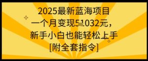 2025最新蓝海项目一个月变现1w+新手小白也能轻松上手【附全套指令】-世康聊项目