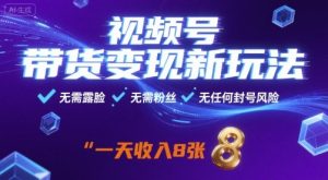 视频号带货变现新玩法，无需露脸，无需粉丝，无任何封号风险，一天收益8张【揭秘】-世康聊项目